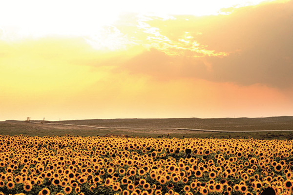 西氣東輸三線(xiàn)管道工程(甘肅段)